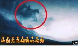 奇闻爆料解说视频大全集,视频大全集带你探索神秘世界